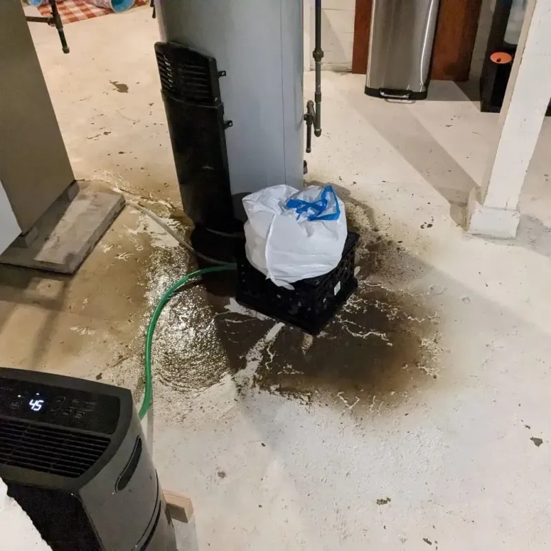 Sewage Backup Cleanup Service in Lebanon, NJ